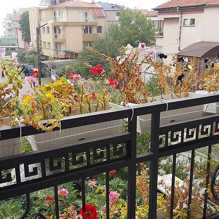 Sea View Sarafovo アパート